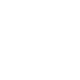 Basketball Icon
